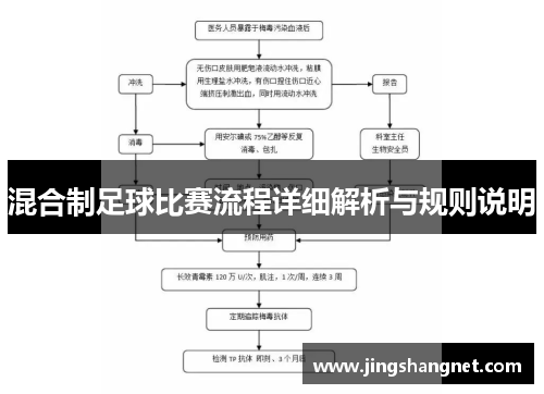 混合制足球比赛流程详细解析与规则说明